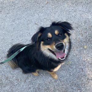 Meet your Posher, Nova